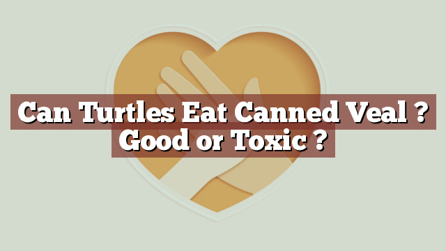 Can Turtles Eat Canned Veal ? Good or Toxic ?