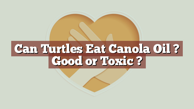 Can Turtles Eat Canola Oil ? Good or Toxic ?
