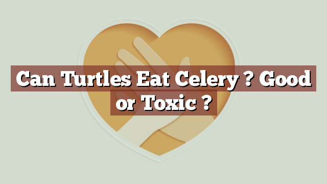 Can Turtles Eat Celery ? Good or Toxic ?