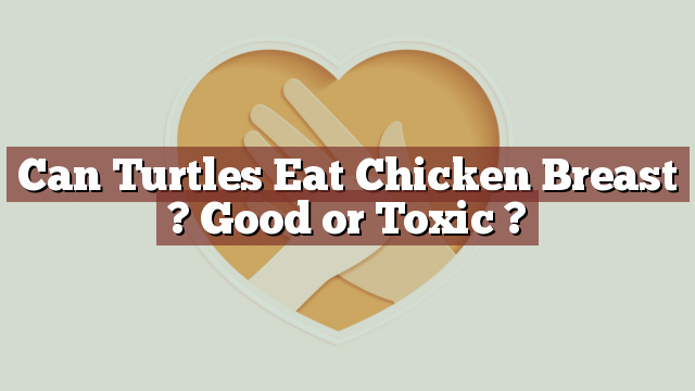 Can Turtles Eat Chicken Breast ? Good or Toxic ?