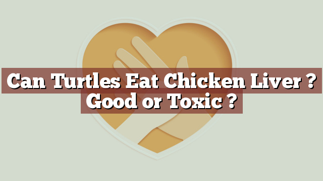 Can Turtles Eat Chicken Liver ? Good or Toxic ?