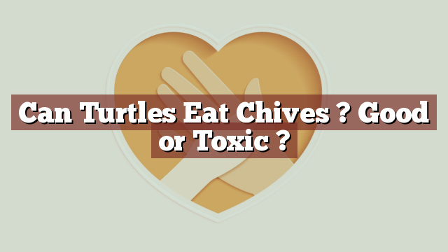 Can Turtles Eat Chives ? Good or Toxic ?