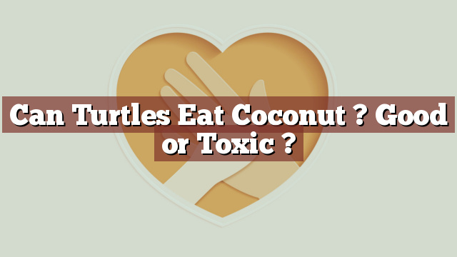 Can Turtles Eat Coconut ? Good or Toxic ?