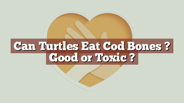 Can Turtles Eat Cod Bones ? Good or Toxic ?