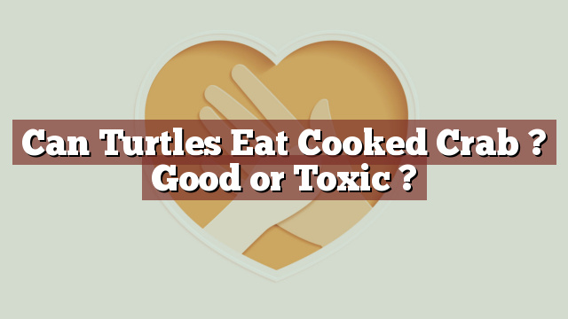 Can Turtles Eat Cooked Crab ? Good or Toxic ?