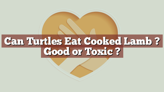 Can Turtles Eat Cooked Lamb ? Good or Toxic ?