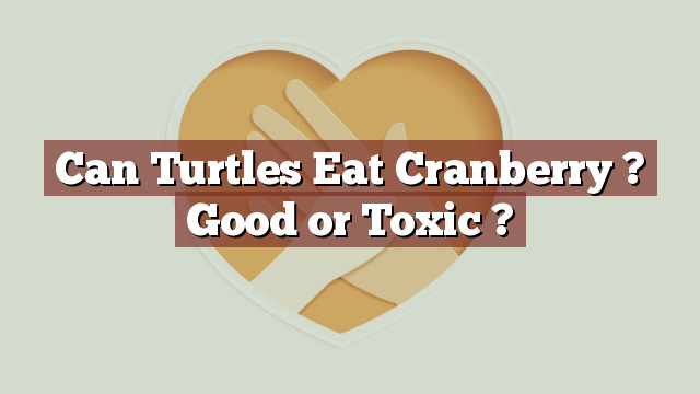 Can Turtles Eat Cranberry ? Good or Toxic ?