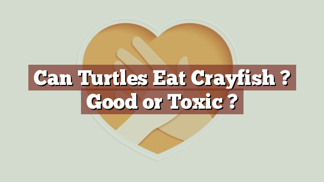 Can Turtles Eat Crayfish ? Good or Toxic ?