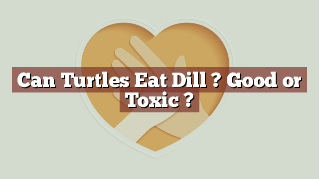 Can Turtles Eat Dill ? Good or Toxic ?