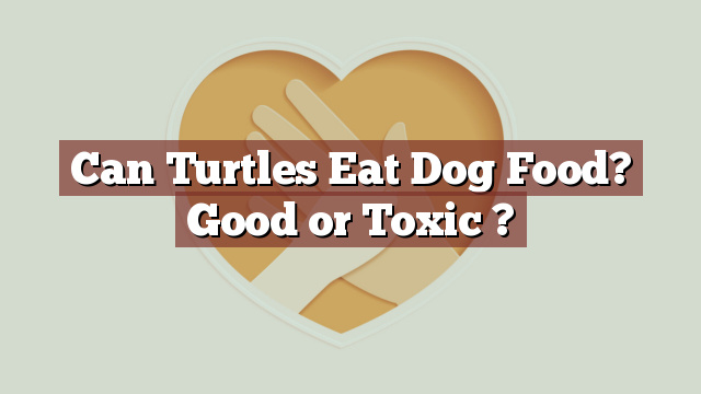 Can Turtles Eat Dog Food? Good or Toxic ?