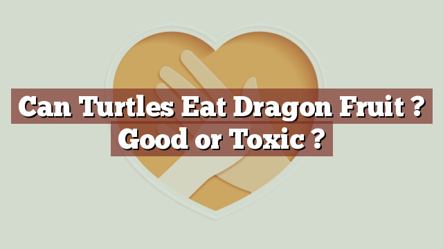 Can Turtles Eat Dragon Fruit ? Good or Toxic ?