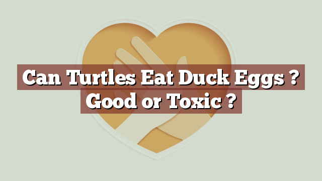 Can Turtles Eat Duck Eggs ? Good or Toxic ?