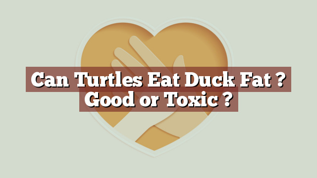 Can Turtles Eat Duck Fat ? Good or Toxic ?