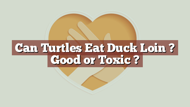 Can Turtles Eat Duck Loin ? Good or Toxic ?