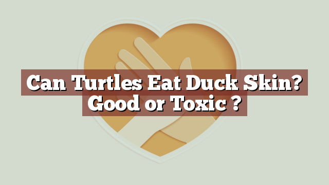 Can Turtles Eat Duck Skin? Good or Toxic ?