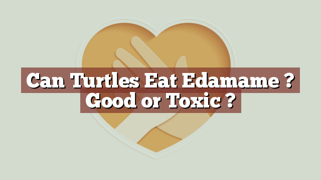 Can Turtles Eat Edamame ? Good or Toxic ?