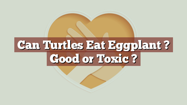 Can Turtles Eat Eggplant ? Good or Toxic ?