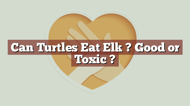 Can Turtles Eat Elk ? Good or Toxic ?