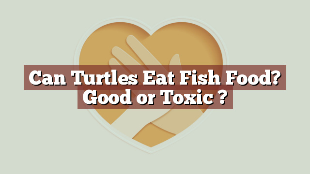 Can Turtles Eat Fish Food? Good or Toxic ?