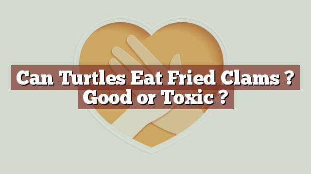Can Turtles Eat Fried Clams ? Good or Toxic ?
