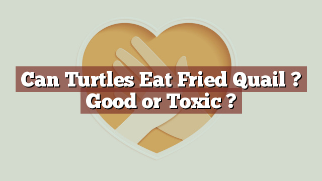 Can Turtles Eat Fried Quail ? Good or Toxic ?