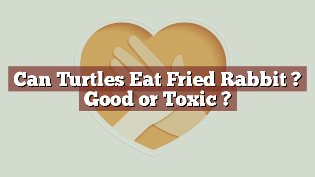 Can Turtles Eat Fried Rabbit ? Good or Toxic ?