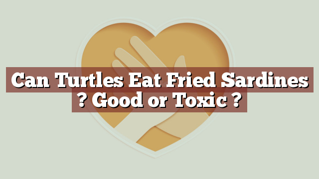 Can Turtles Eat Fried Sardines ? Good or Toxic ?