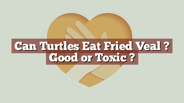 Can Turtles Eat Fried Veal ? Good or Toxic ?