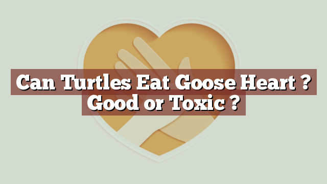 Can Turtles Eat Goose Heart ? Good or Toxic ?