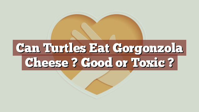 Can Turtles Eat Gorgonzola Cheese ? Good or Toxic ?