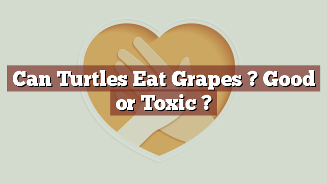 Can Turtles Eat Grapes ? Good or Toxic ?