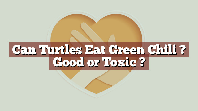 Can Turtles Eat Green Chili ? Good or Toxic ?