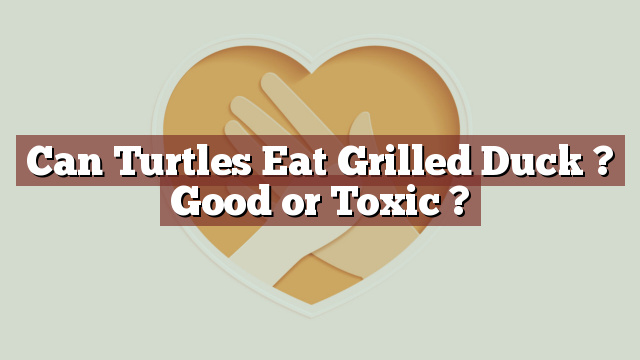 Can Turtles Eat Grilled Duck ? Good or Toxic ?