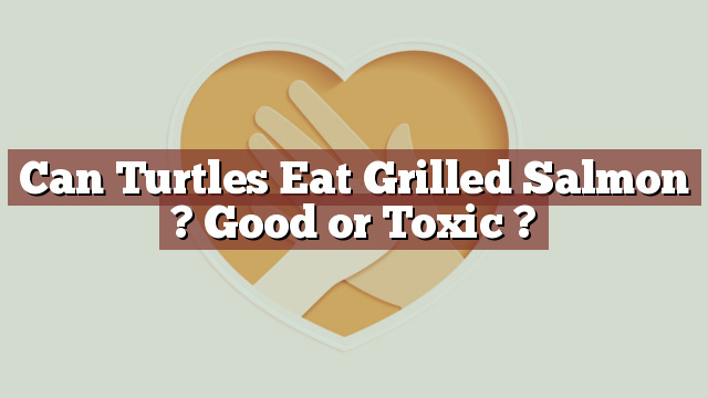 Can Turtles Eat Grilled Salmon ? Good or Toxic ?