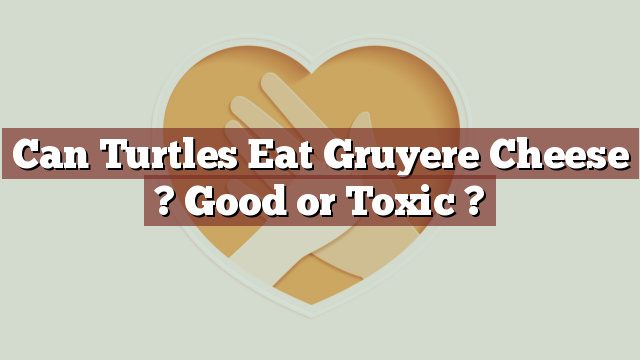 Can Turtles Eat Gruyere Cheese ? Good or Toxic ?