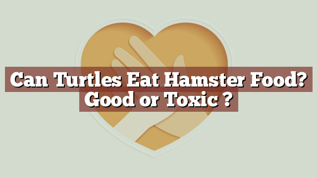 Can Turtles Eat Hamster Food? Good or Toxic ?