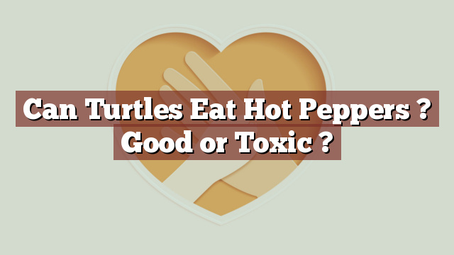 Can Turtles Eat Hot Peppers ? Good or Toxic ?
