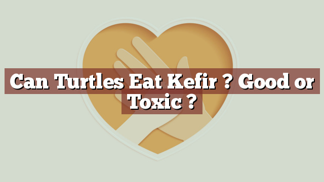 Can Turtles Eat Kefir ? Good or Toxic ?