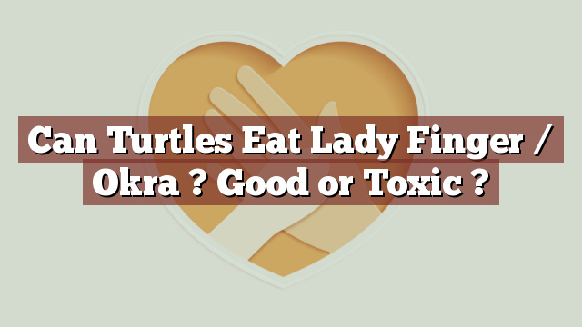 Can Turtles Eat Lady Finger / Okra ? Good or Toxic ?