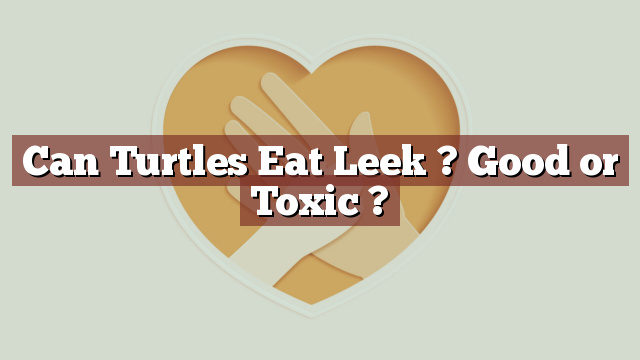 Can Turtles Eat Leek ? Good or Toxic ?