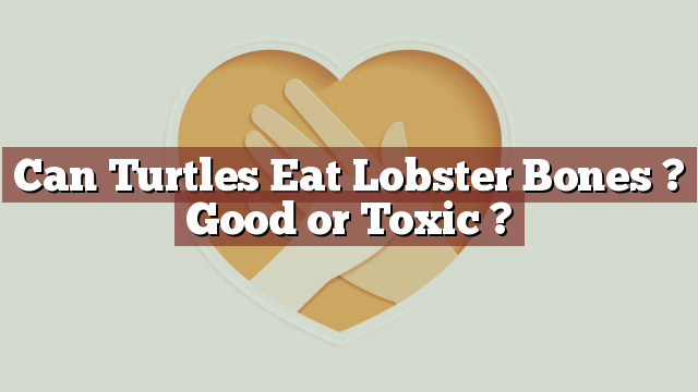 Can Turtles Eat Lobster Bones ? Good or Toxic ?