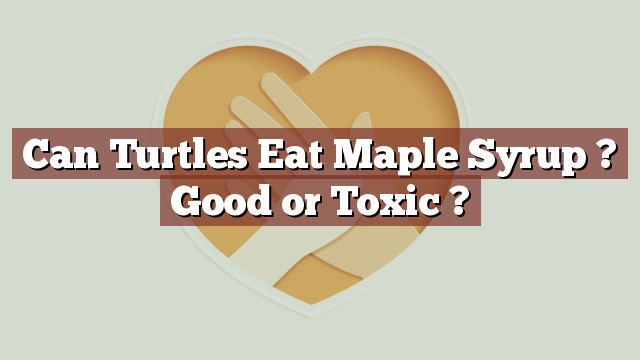 Can Turtles Eat Maple Syrup ? Good or Toxic ?