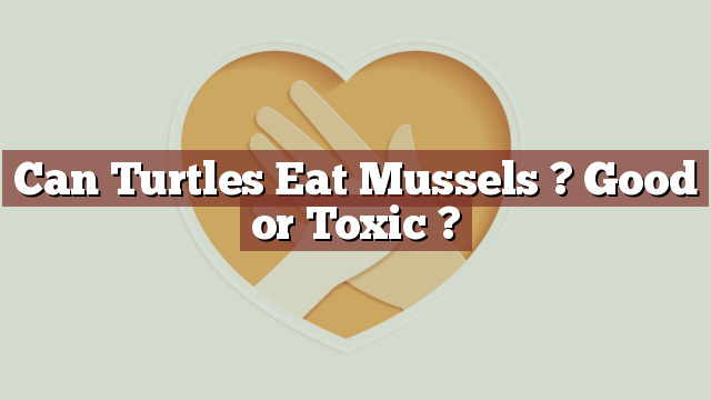 Can Turtles Eat Mussels ? Good or Toxic ?