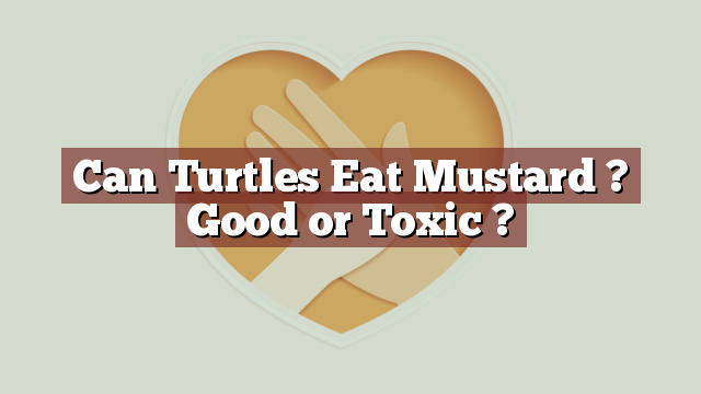 Can Turtles Eat Mustard ? Good or Toxic ?