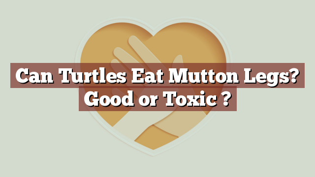 Can Turtles Eat Mutton Legs? Good or Toxic ?