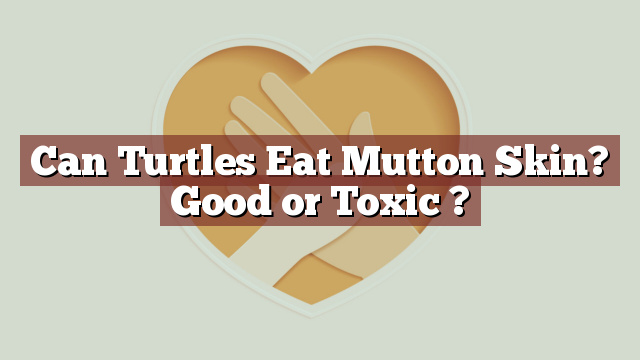 Can Turtles Eat Mutton Skin? Good or Toxic ?