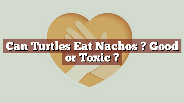 Can Turtles Eat Nachos ? Good or Toxic ?