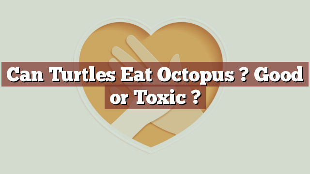 Can Turtles Eat Octopus ? Good or Toxic ?