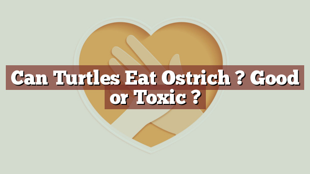 Can Turtles Eat Ostrich ? Good or Toxic ?