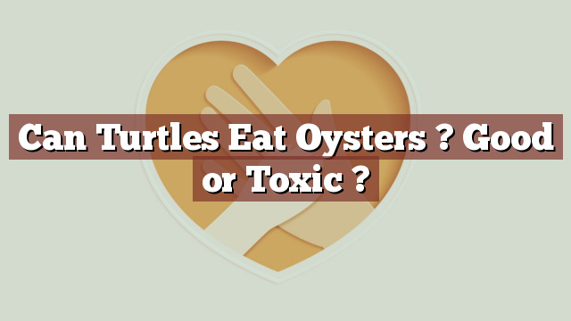Can Turtles Eat Oysters ? Good or Toxic ?